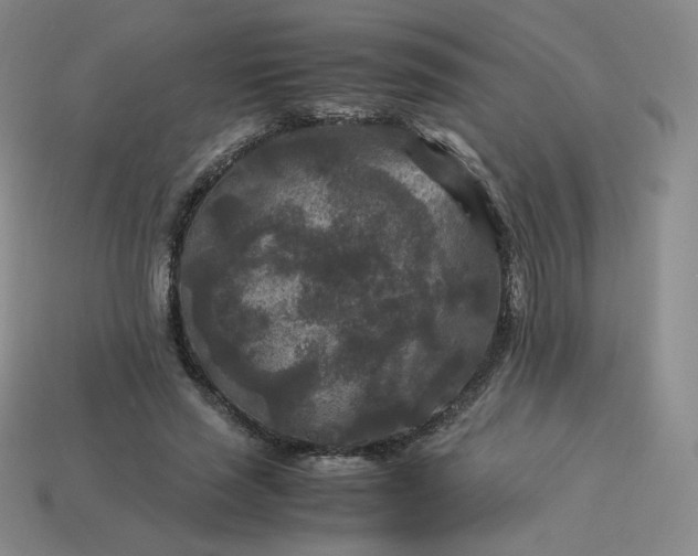 X0000114090637200910191604