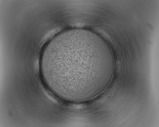 X0000114090638200910191604