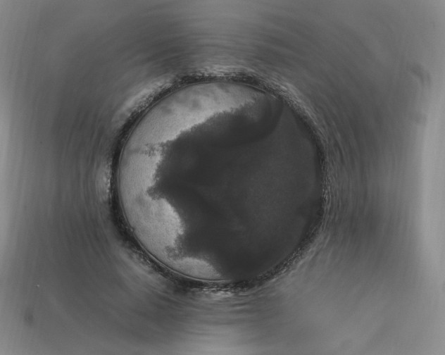 X0000114090640200910191604