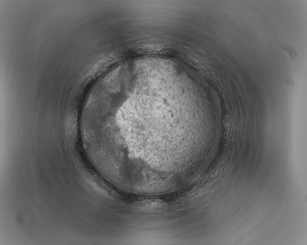 X0000114090642200910191604