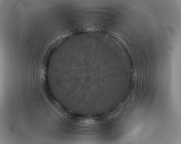 X0000114090643200910191604