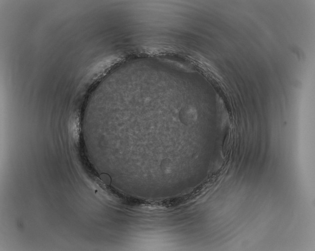X0000114090644200910191604