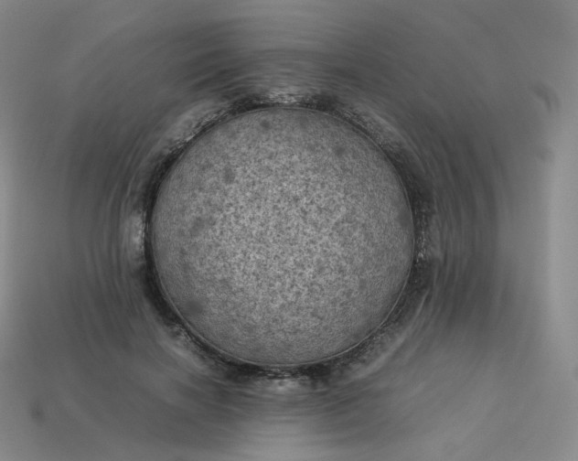 X0000114090646200910191604