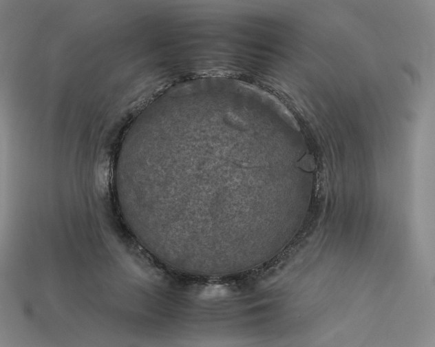 X0000114090647200910191604