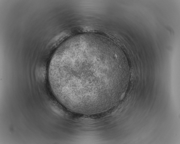X0000114090648200910191604