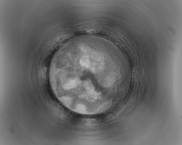X0000114090650200910191604