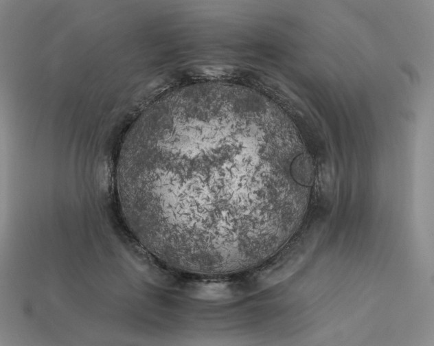 X0000114090651200910191604