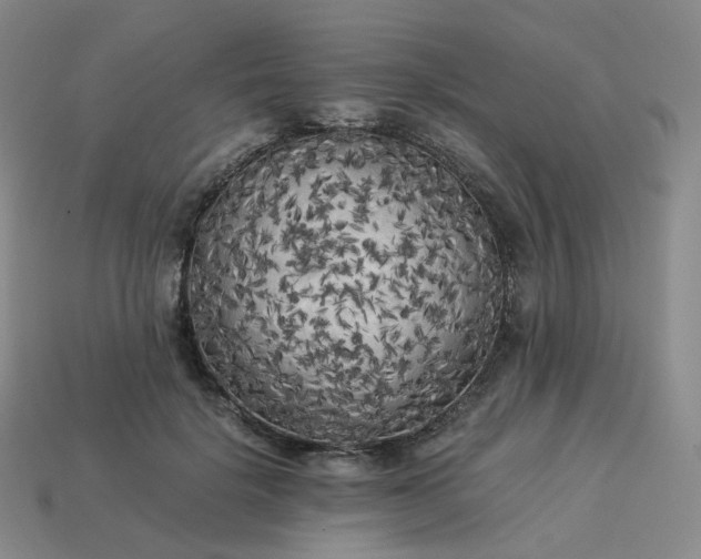 X0000114090652200910191604