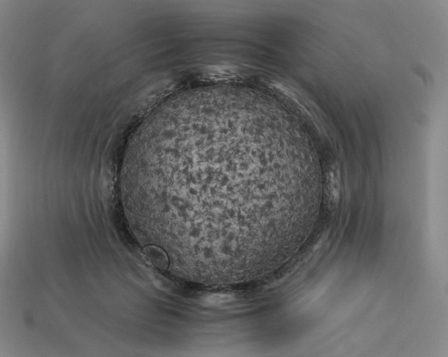 X0000114090653200910191604