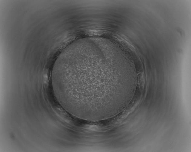 X0000114090655200910191604