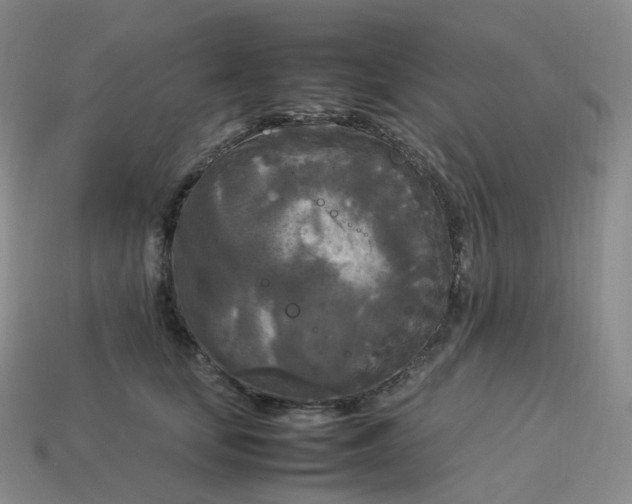 X0000114090659200910191604