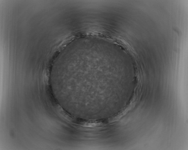 X0000114090661200910191604