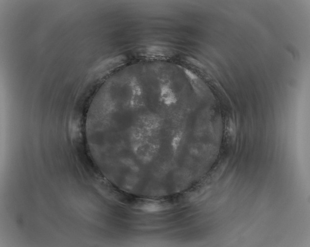 X0000114090663200910191604