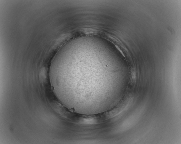 X0000114090667200910191604