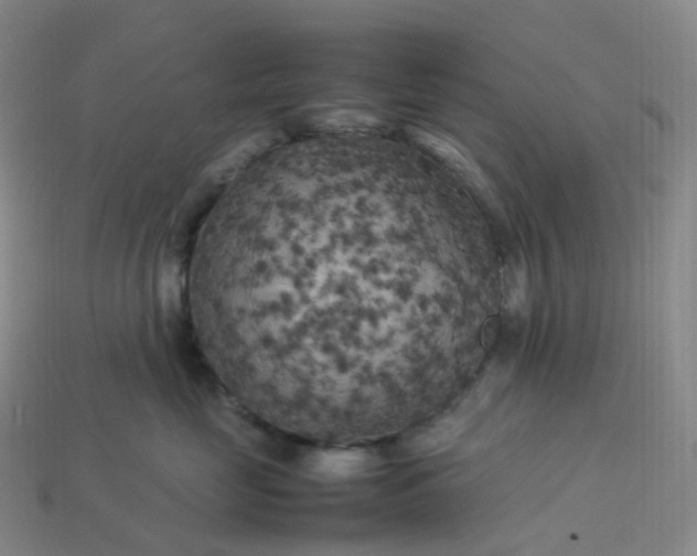 X0000114090669200910191604