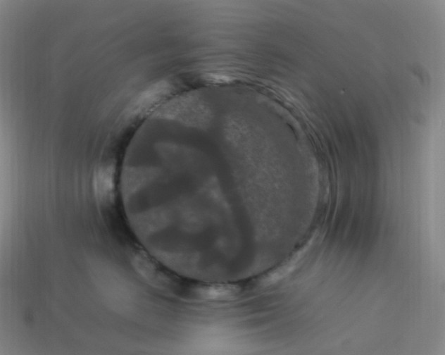 X0000114090670200910191604
