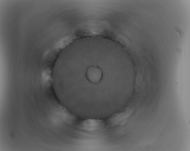 X0000114090672200910191604