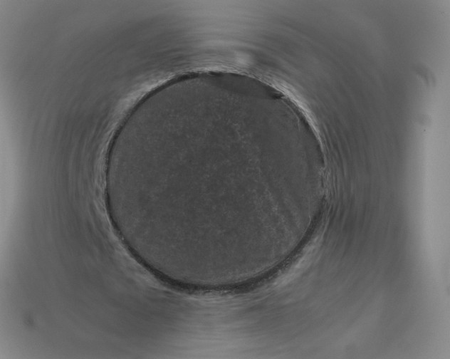 X0000114090673200910191603
