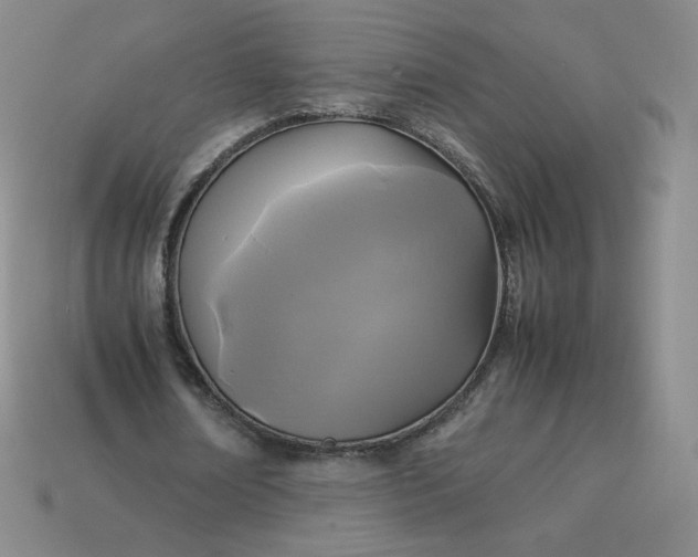 X0000114090674200910191603