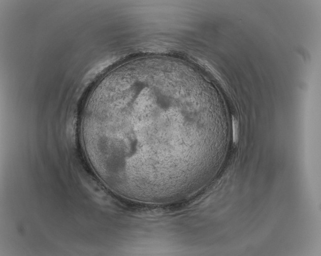 X0000114090675200910191603