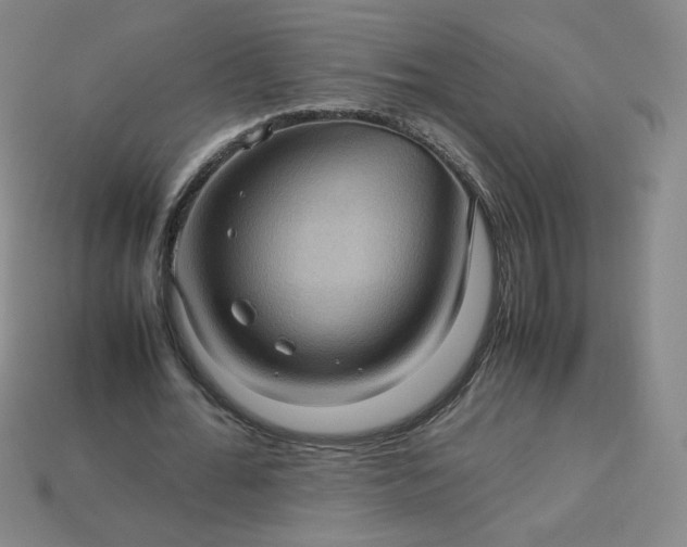 X0000114090676200910191603