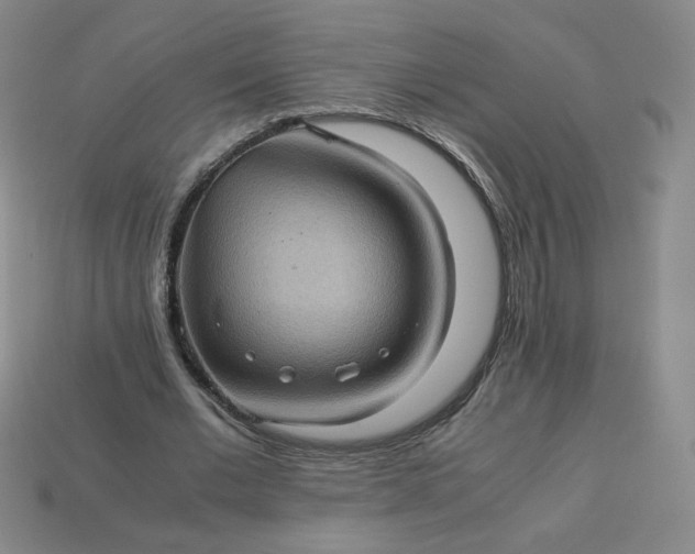 X0000114090677200910191603