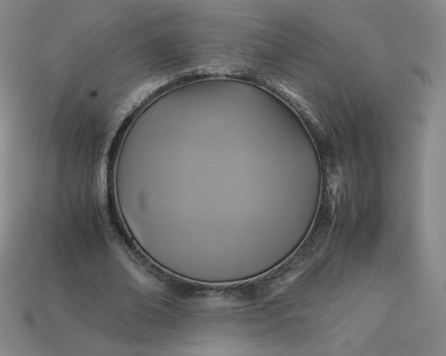 X0000114090678200910191603