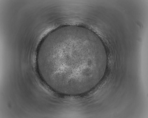 X0000114090679200910191603