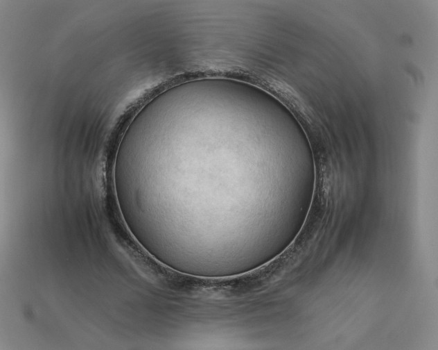 X0000114090680200910191603