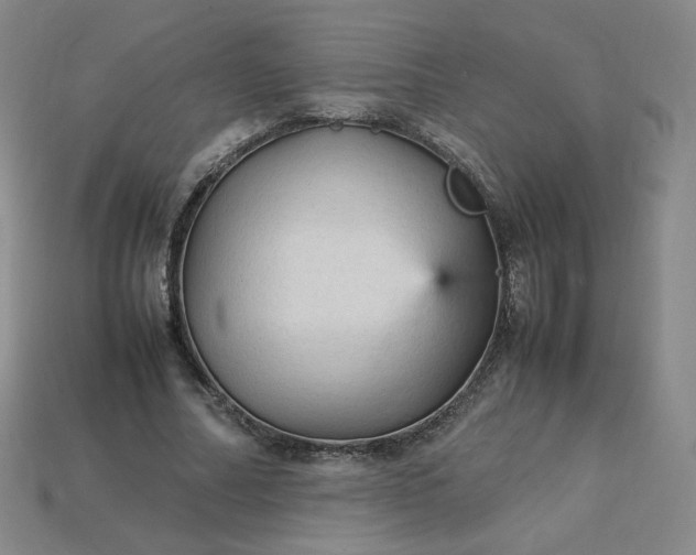 X0000114090682200910191603