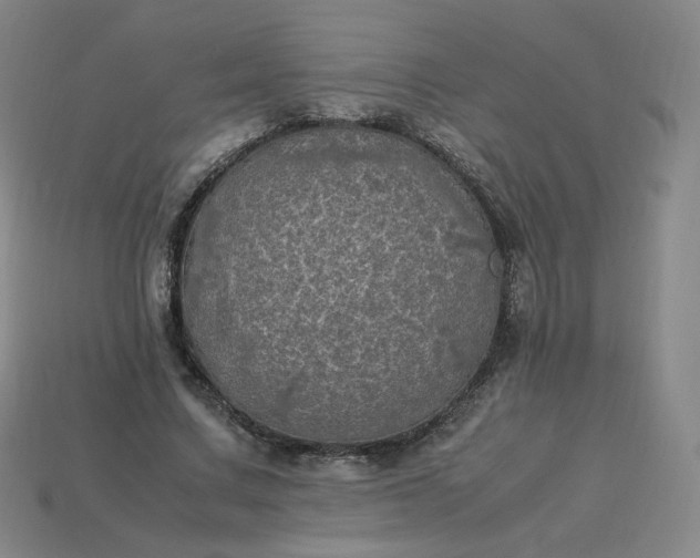 X0000114090683200910191603