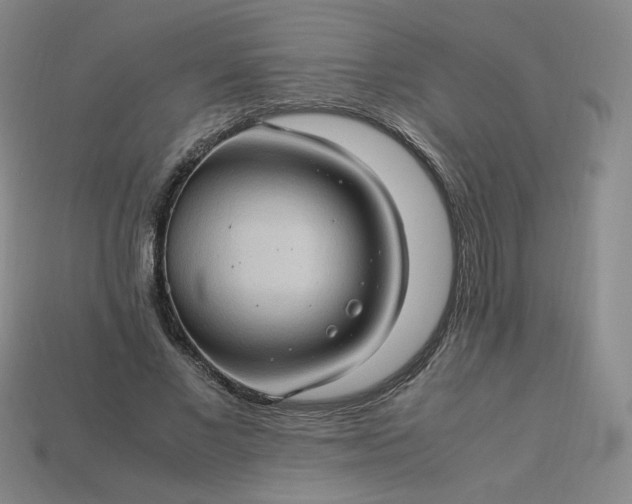 X0000114090685200910191603
