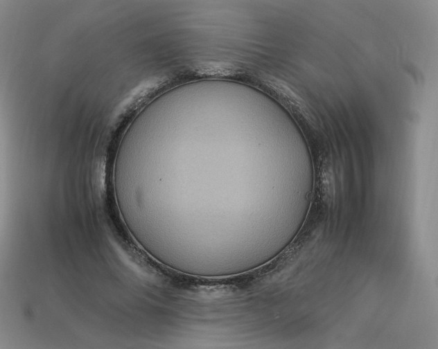 X0000114090686200910191603