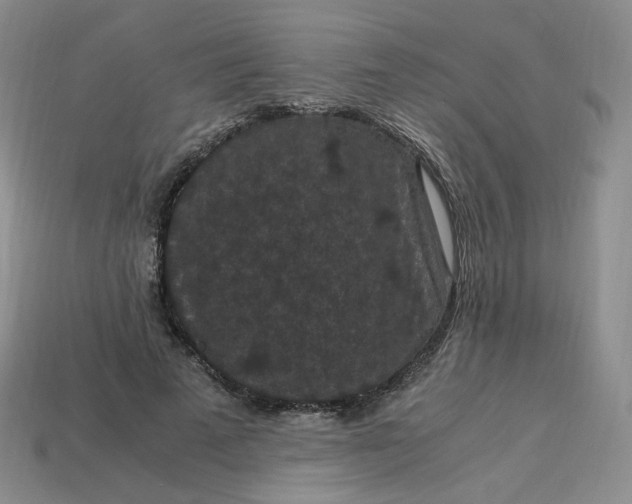 X0000114090689200910191603