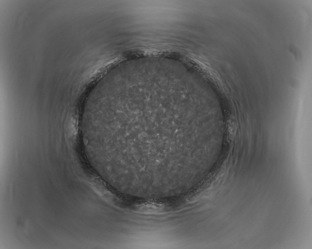 X0000114090691200910191603