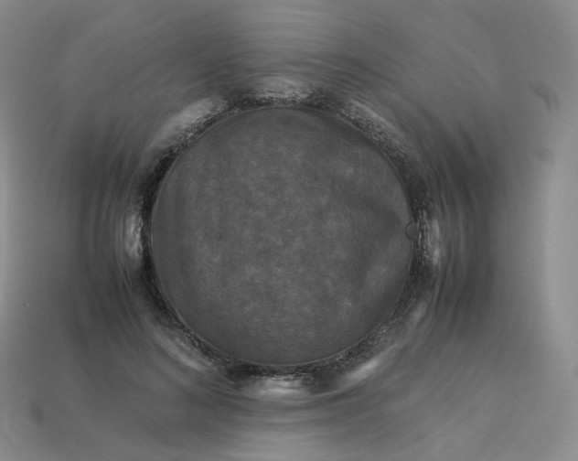 X0000114090692200910191603