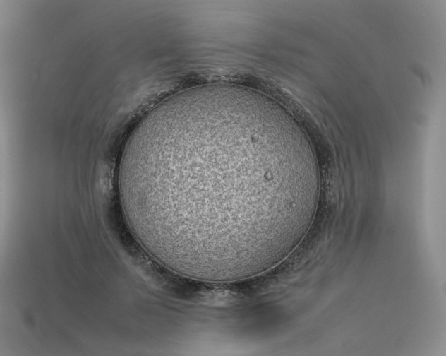 X0000114090695200910191603