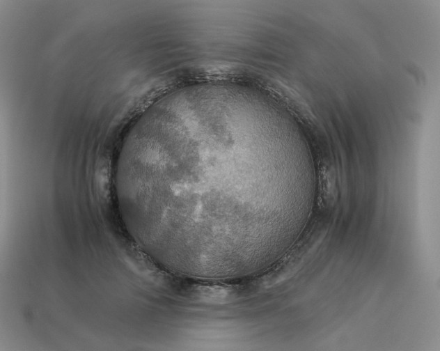 X0000114090698200910191603
