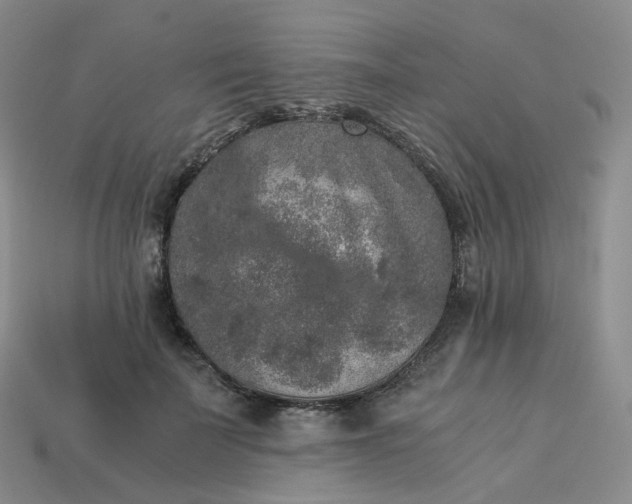 X0000114090699200910191603