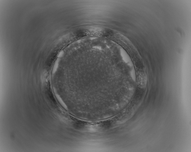 X0000114090701200910191603
