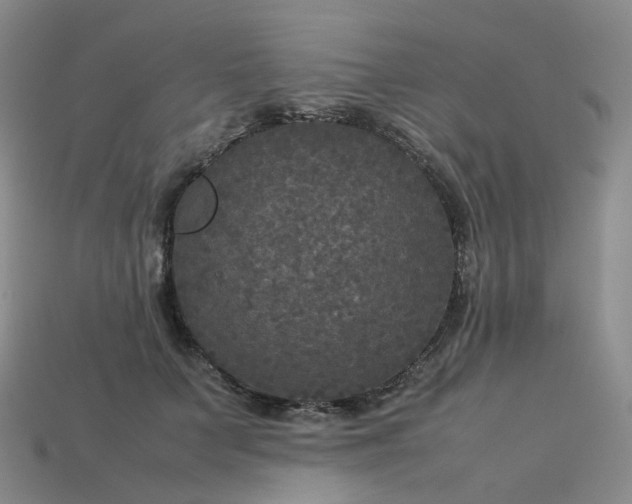 X0000114090703200910191603