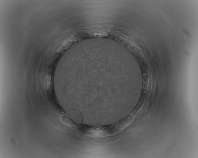 X0000114090704200910191603