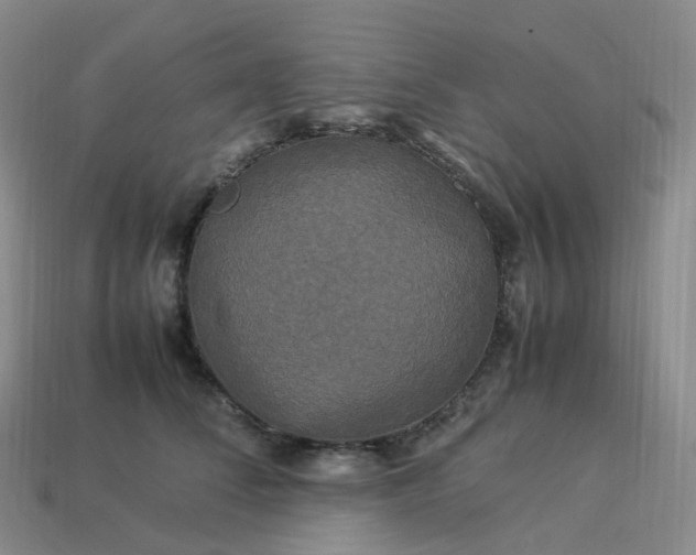 X0000114090708200910191603