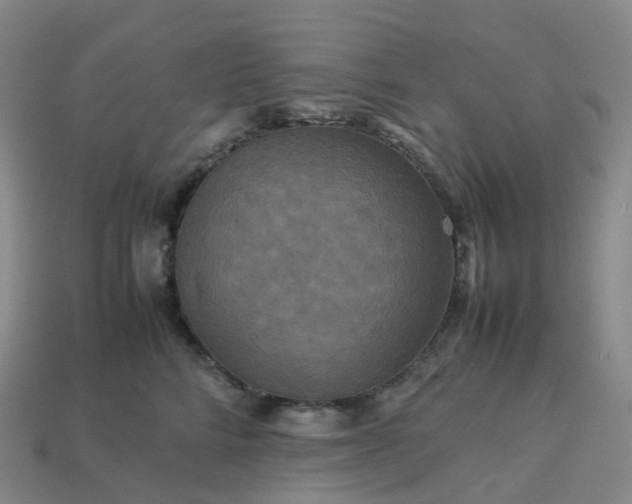 X0000114090712200910191603