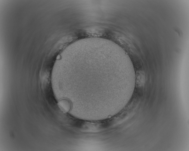 X0000114090713200910191603