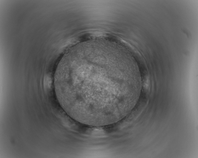 X0000114090715200910191603
