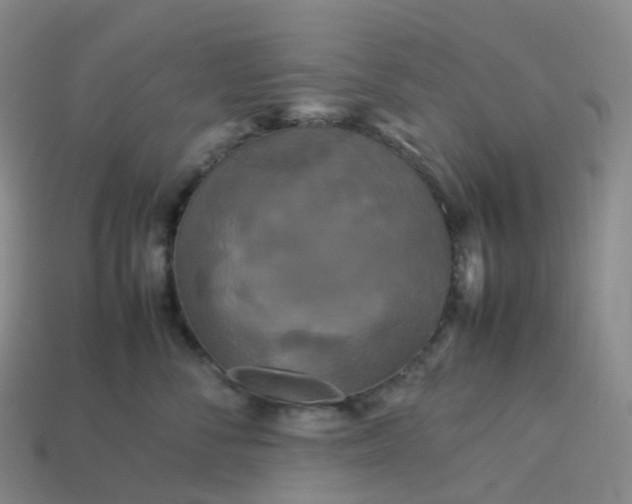 X0000114090716200910191603