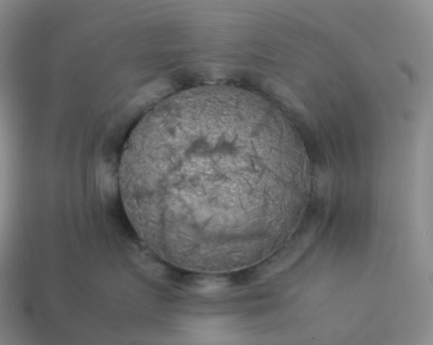 X0000114090719200910191603