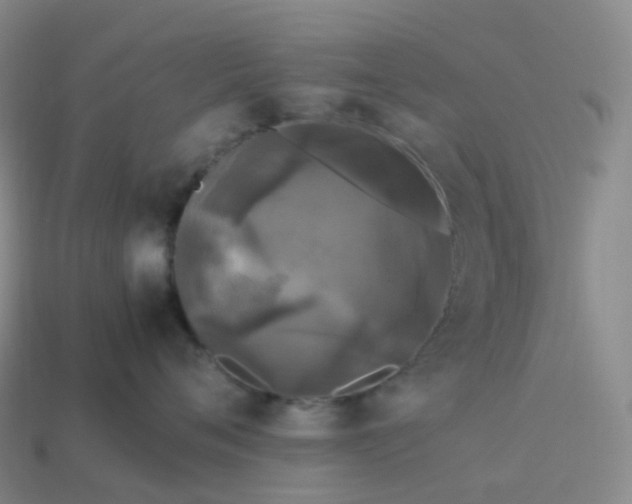 X0000114090720200910191603