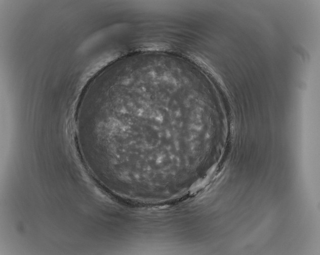 X0000114090721200910191602